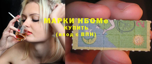 шишки Коряжма
