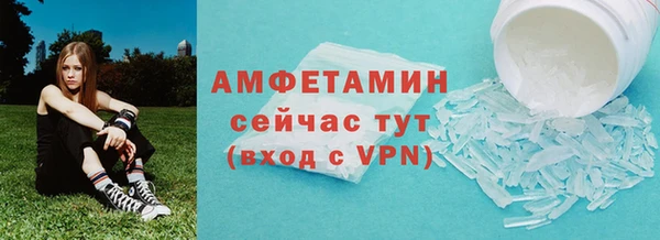 шишки Коряжма