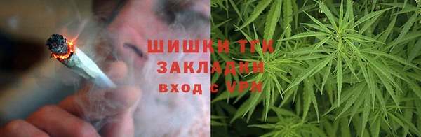 шишки Коряжма