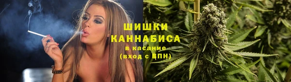 шишки Коряжма