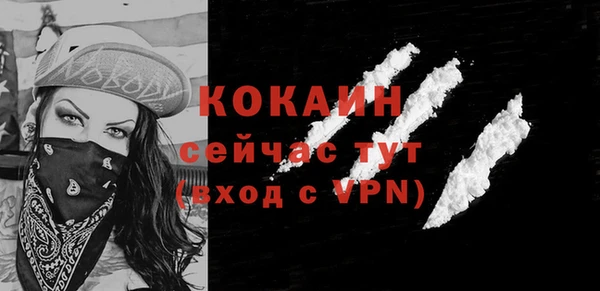 мдпв Костерёво