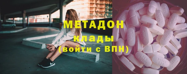 шишки Коряжма