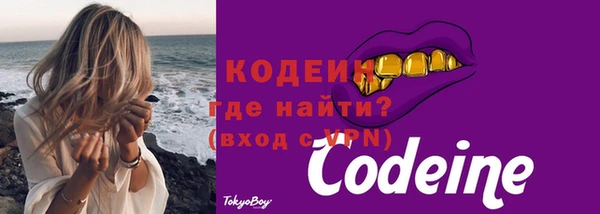 шишки Коряжма