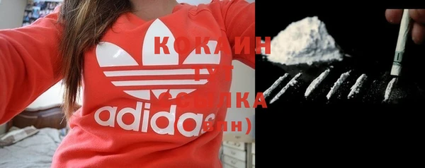 соль ск Кодинск