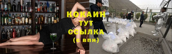 соль ск Кодинск