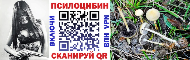 Псилоцибиновые грибы Cubensis Купить Ряжск